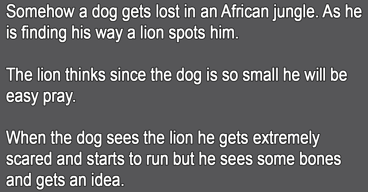 A-Dog-Got-Lost-In-An-African-Jungle-When-A-Lion-Spotted-Him