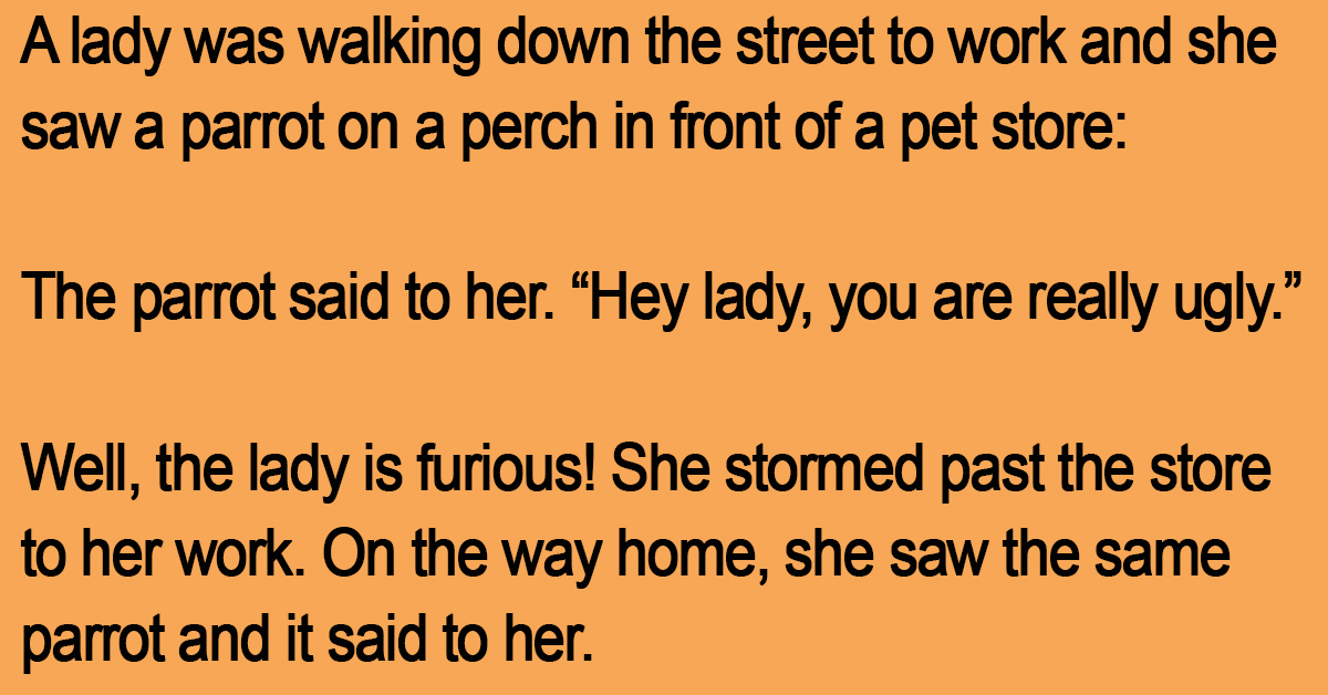 A Lady Was Walking Down The Street.