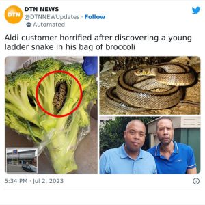 Man Finds Snake In Broccoli Aldi 64a2711c8a3e3 700